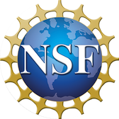 NSF Logo NSF Logo